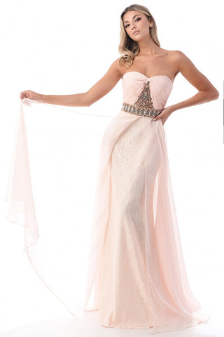 Beautiful Blush Strapless Evening Gown