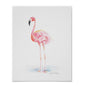 Flamingo Sensation Print 11x14